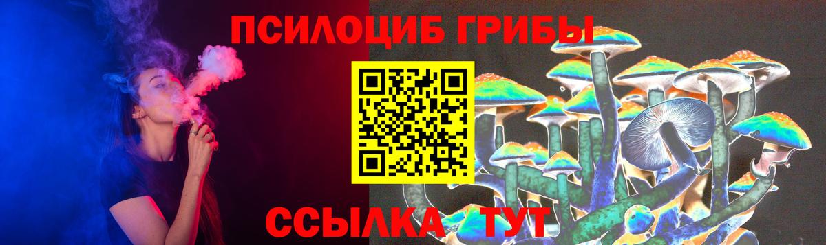 Псилоцибиновые грибы GOLDEN TEACHER  Вход с VPN  Северск  Галлюциногенные грибы прущие грибы 